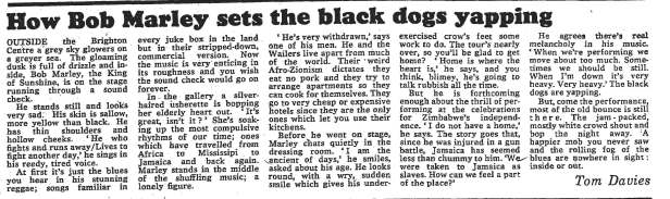 black dogs yapping198007-20brightonobserver