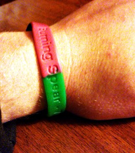 IMG00195-20121211-0900