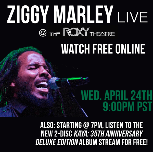 ziggymarleysplashimage