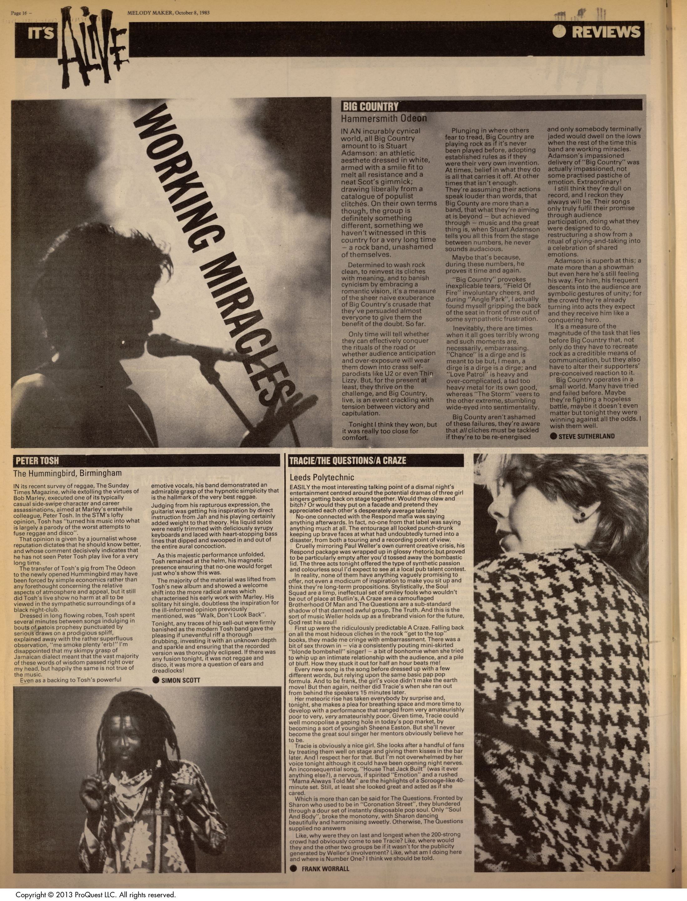 tosh-hummingbird1983-1