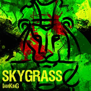 Skygrass_Album Cover