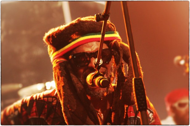 David Hinds, Steel Pulse - Photo : Fred reGGaeLover  P. 2013