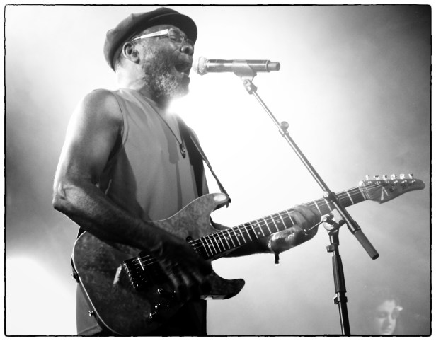 Clinton Fearon & Boogie Brown  , Live Babel Med Festival - Photo Fred reGGaeLover 2014