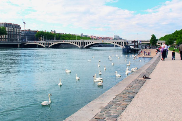 Lyon - Photo : Fred reGGaeLover 2014