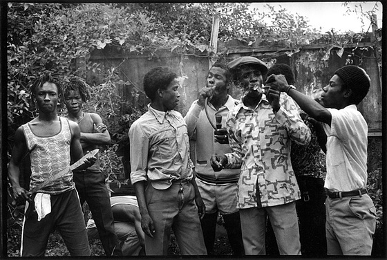 8464452.b341a803.560