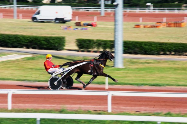 Photo : Fred reGGaeLover 2014