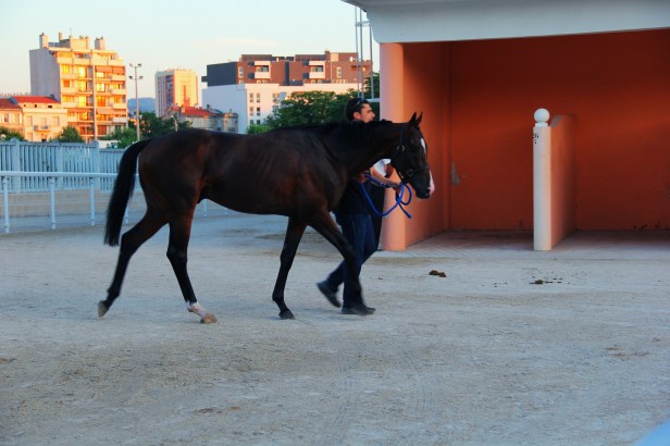 Les Djs Du Soleil (Papet Jali, Gari Grèu , DJ Kayalik ), Live Hippodrome Pont De Vivaux, Marseille - Photo Fred reGGaeLover 2014