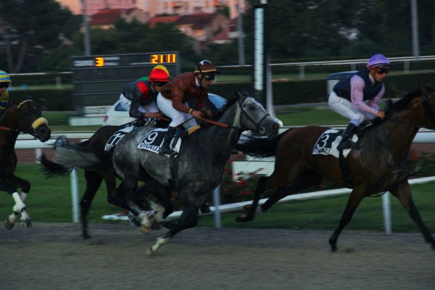 Les Djs Du Soleil (Papet Jali, Gari Grèu , DJ Kayalik ), Live Hippodrome Pont De Vivaux, Marseille - Photo Fred reGGaeLover 2014