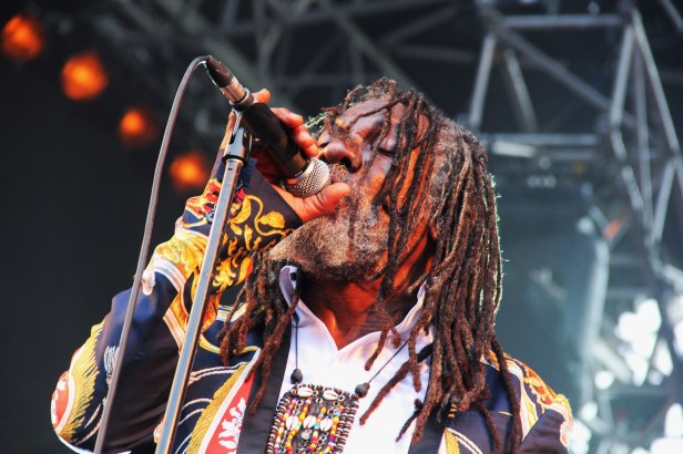 Winston McAnuff & Fixi, live Garance Reggae Festival 2014 - Photo : Fred reGGaelover 2014