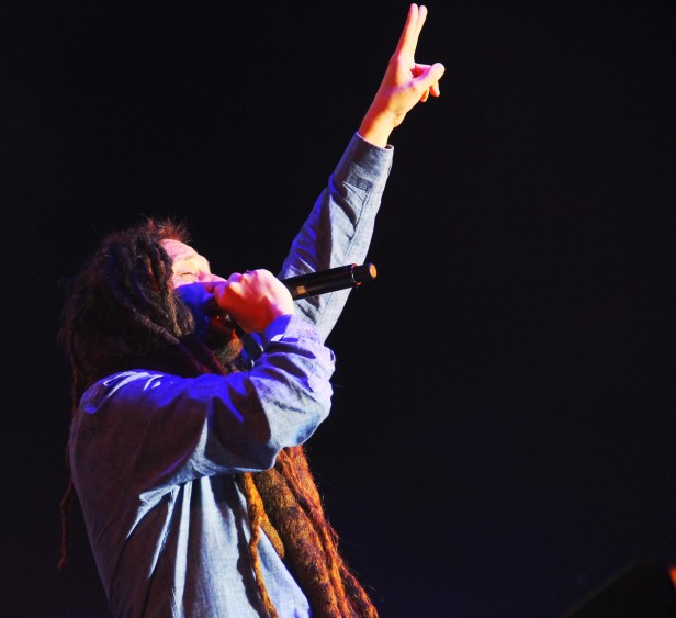 Alborosie & Shengen Clan , live Garance Reggae Festival 2014 - Photo : Fred reGGaelover 2014