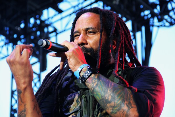 2014-07-09 Ky-Mani Marley & Revolution Band, Live Le Big Festival, Juan Les Pins - Photo : Fred reGGaeLover 2014