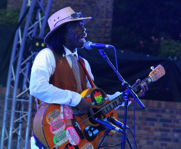 Brushy One String , Live Zik Zac Festival - Photo Fred reGGaeLover 2014