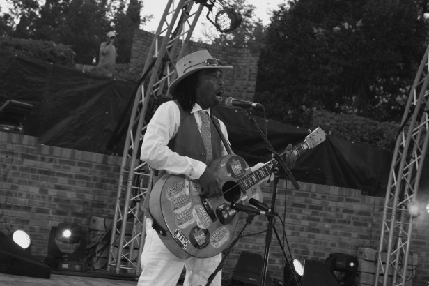 Brushy One String , Live Zik Zac Festival - Photo Fred reGGaeLover 2014