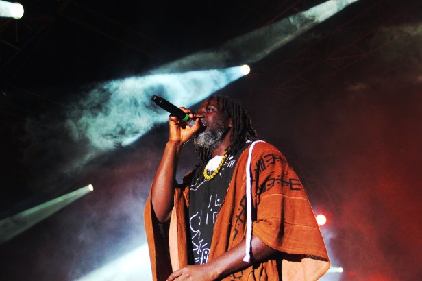 Tiken Jah Fakoly , Live Garance Reggae Festival 2014 - Photo : Fred reGGaeLover 2014