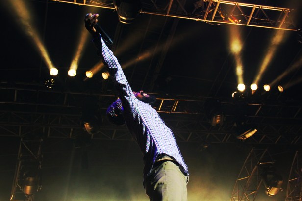 Lutan Fyah & Dub Akom , Live Garance Reggae Festival 2014 - Photo : Fred reGGaeLover 2014