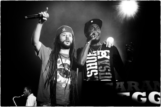 Danakil , Live Garance Reggae Festival 2014 - Photo Fred reGGaeLover 2014