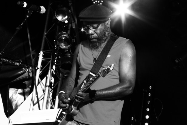Clinton Fearon & Boogie Brown Band  , Live Reggae Sun Ska 2014 - Photo : Fred reGGaeLover 2014