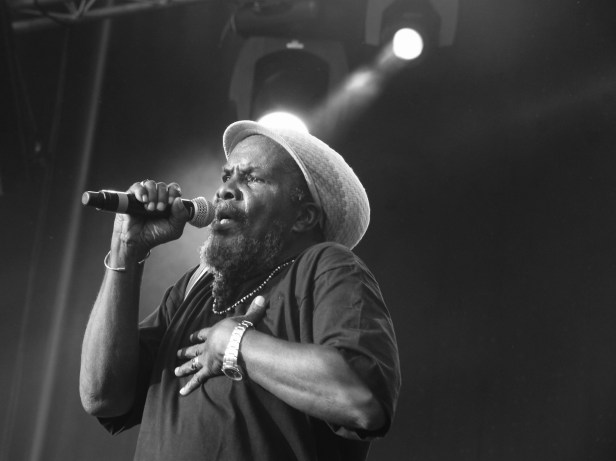 Pablo Moses & Hand Cart Band,  Live  Reggae Sun Ska 2014 - Photo : Fred reGGaeLover 2014