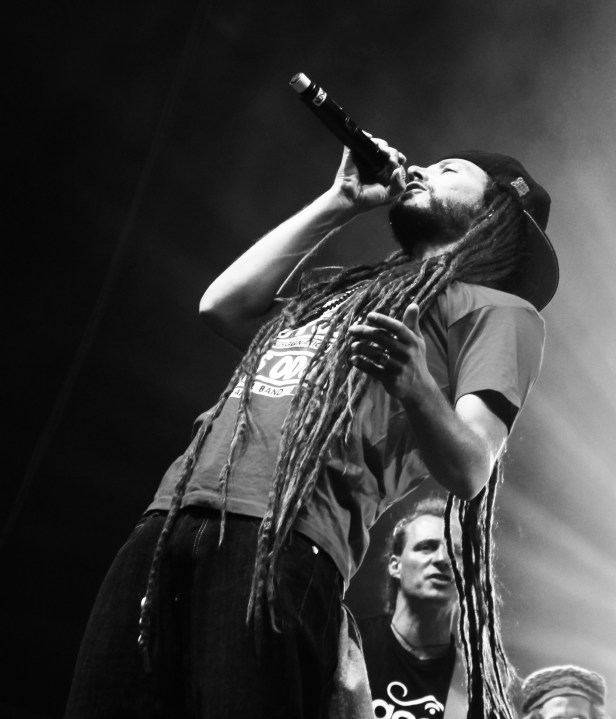 Danakil  , Live  Reggae Sun Ska 2014 - Photo : Fred reGGaeLover 2014