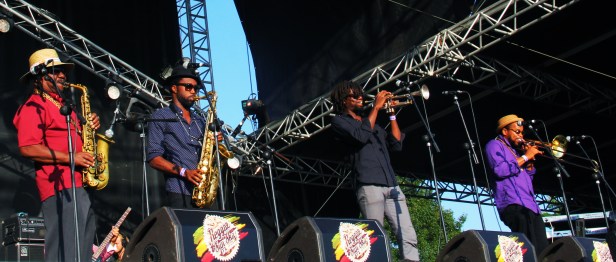 The Skatalites  , Live  Reggae Sun Ska 2014 - Photo : Fred reGGaeLover 2014