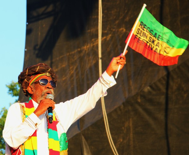 Bunny Wailer Live Reggae Sun Ska 2014 - Photo Fred reGGaeLover 2014
