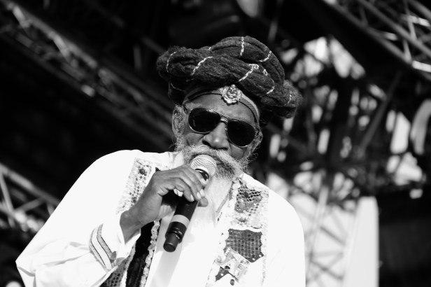 Bunny Wailer Live Reggae Sun Ska 2014 - Photo Fred reGGaeLover 2014