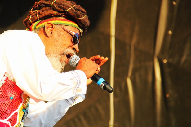 Bunny Wailer Live Reggae Sun Ska 2014 - Photo Fred reGGaeLover 2014