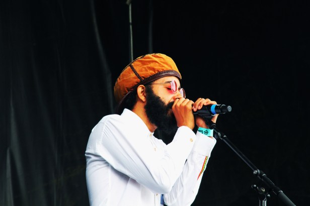 Protoje  , Live Reggae Sun Ska 2014 - Photo Fred reGGaeLover 2014