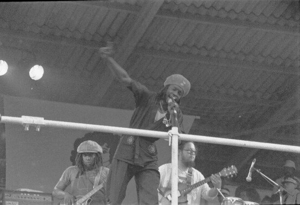 Pink Pop 1979 By Paul Van Haeff