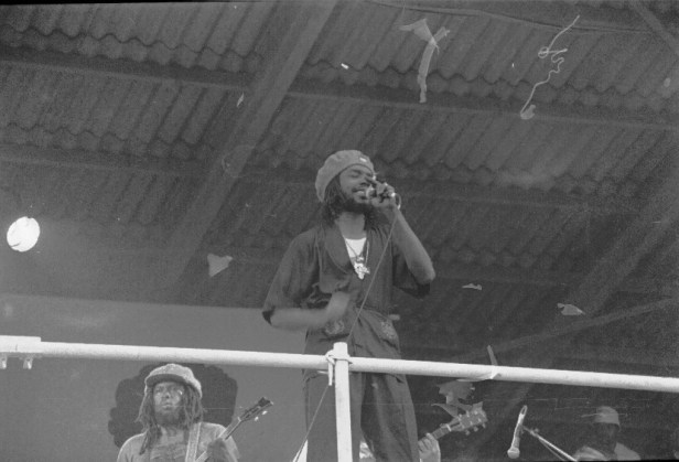 Pink Pop 1979 By Paul Van Haeff