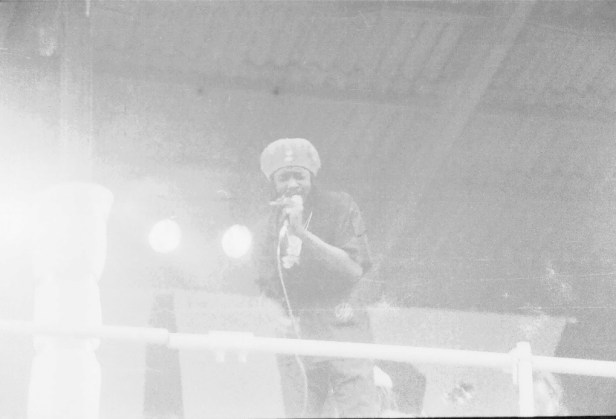 Pink Pop 1979 By Paul Van Haeff