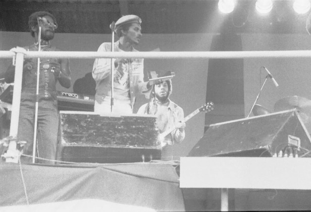 Pink Pop 1979 By Paul Van Haeff