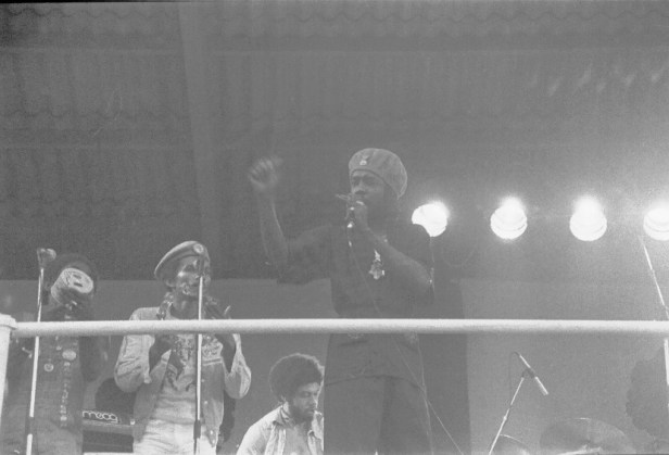 Pink Pop 1979 By Paul Van Haeff