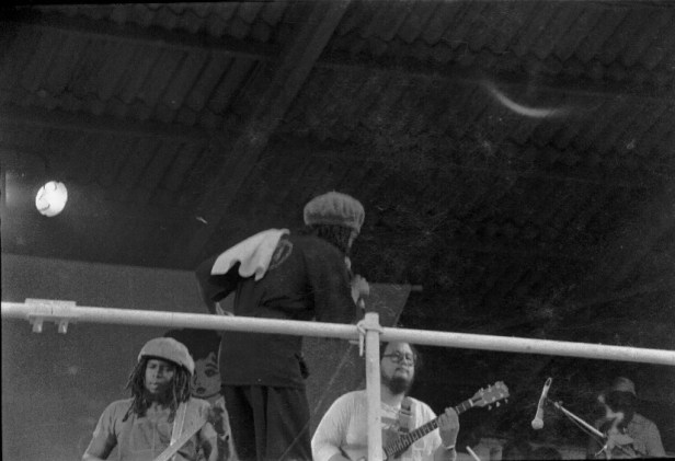 Pink Pop 1979 By Paul Van Haeff