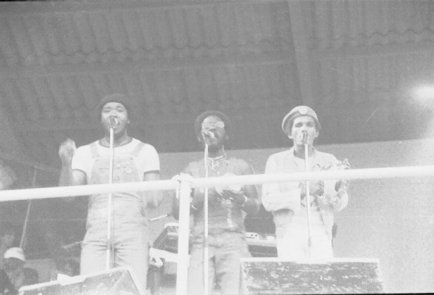 Pink Pop 1979 By Paul Van Haeff