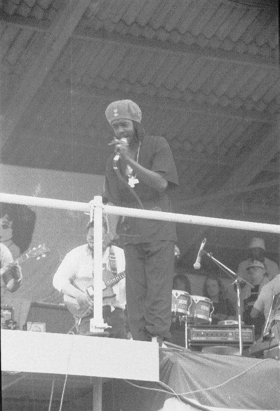 Pink Pop 1979 By Paul Van Haeff