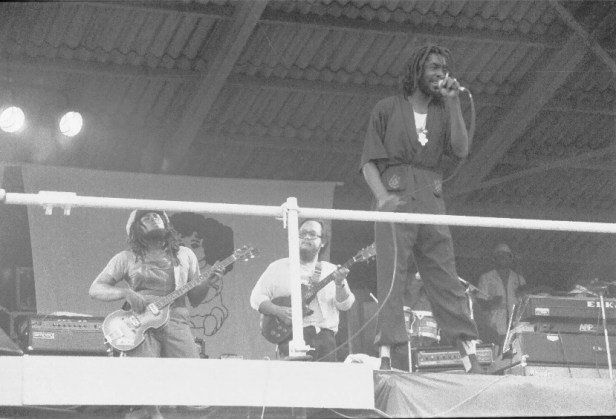 Pink Pop 1979 By Paul Van Haeff