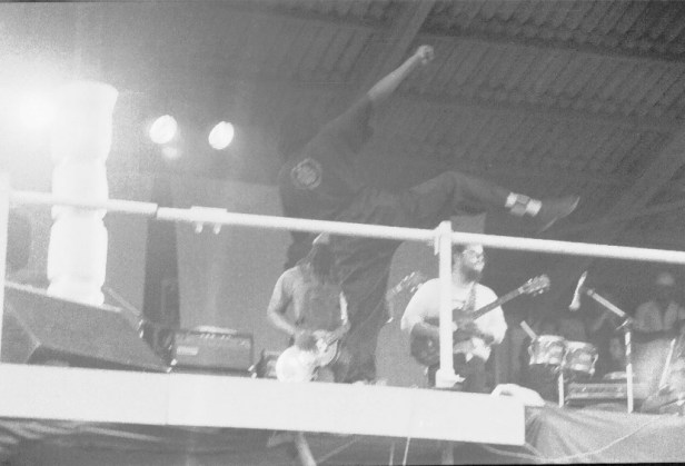 Pink Pop 1979 By Paul Van Haeff