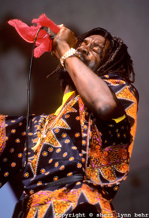 Dr Peeper Music Festival, Wollman Skating Rink, Central Park NYC - Photo By Sheri Lynn Behr