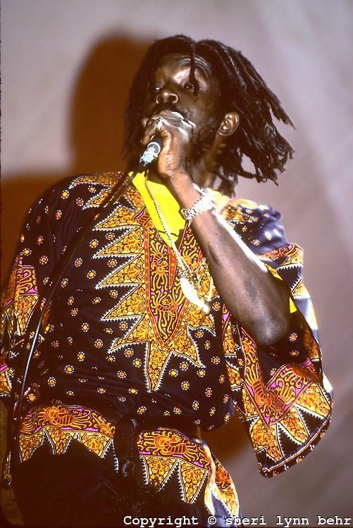 Dr Peeper Music Festival, Wollman Skating Rink, Central Park NYC - Photo By Sheri Lynn Behr