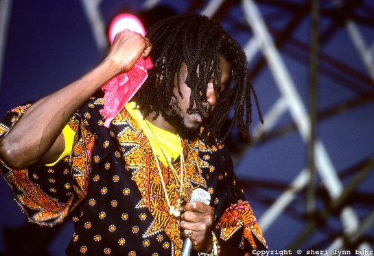 Dr Peeper Music Festival, Wollman Skating Rink, Central Park NYC - Photo By Sheri Lynn Behr