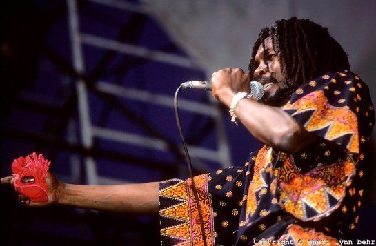 Dr Peeper Music Festival, Wollman Skating Rink, Central Park NYC - Photo By Sheri Lynn Behr