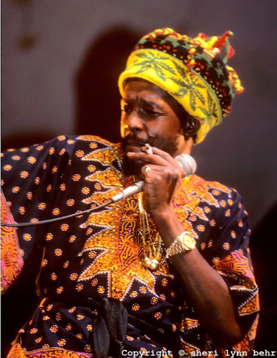 Dr Peeper Music Festival, Wollman Skating Rink, Central Park NYC - Photo By Sheri Lynn Behr