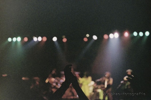 Peter Tosh & Word Sound And Power , Live 1983 Dusseldorf - Ticket Stub