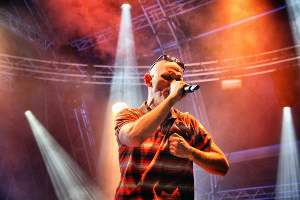 Massilia Sound System, Live Fiesta Des Suds 2014 - Photo : Fred reGGaeLover 2014