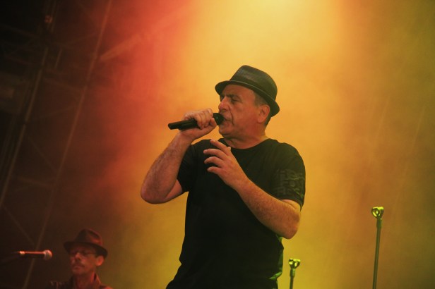 Massilia Sound System, Live Fiesta Des Suds 2014 - Photo : Fred reGGaeLover 2014