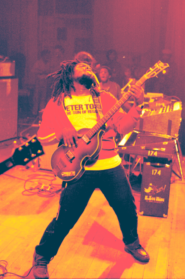 Peter Tosh & Word Sound And Power, Live Sofia Gardens, Cardiff, Wales , photo by Tim Duncan