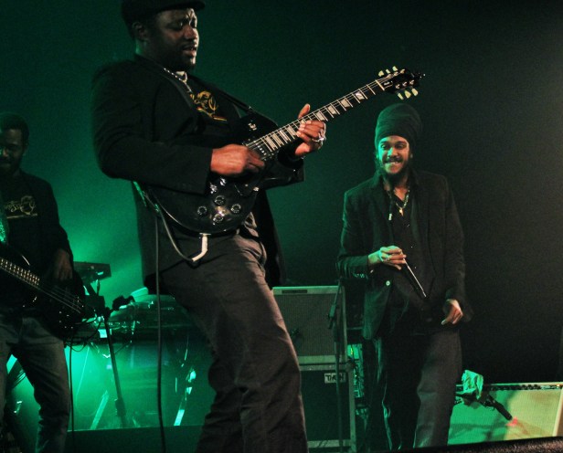 Yaniss Odua & Artikal Band , Live Espace Malraux - Photo : Fred reGGaeLover 2014