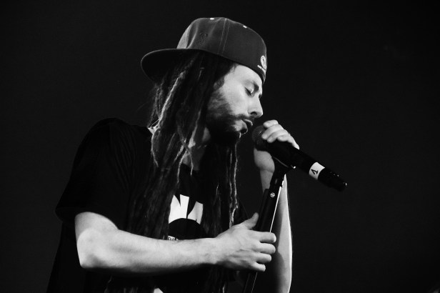 2014-11-22 Danakil , Live Espace Malraux, Six Fours , France - Photo : Fred reGGaeLover 2014