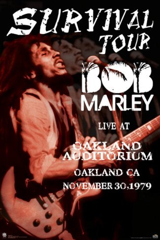 426451_295196343876736_140942215968817_832626_1481328906_n